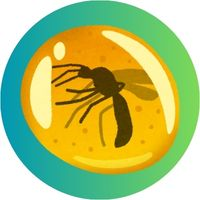 badge